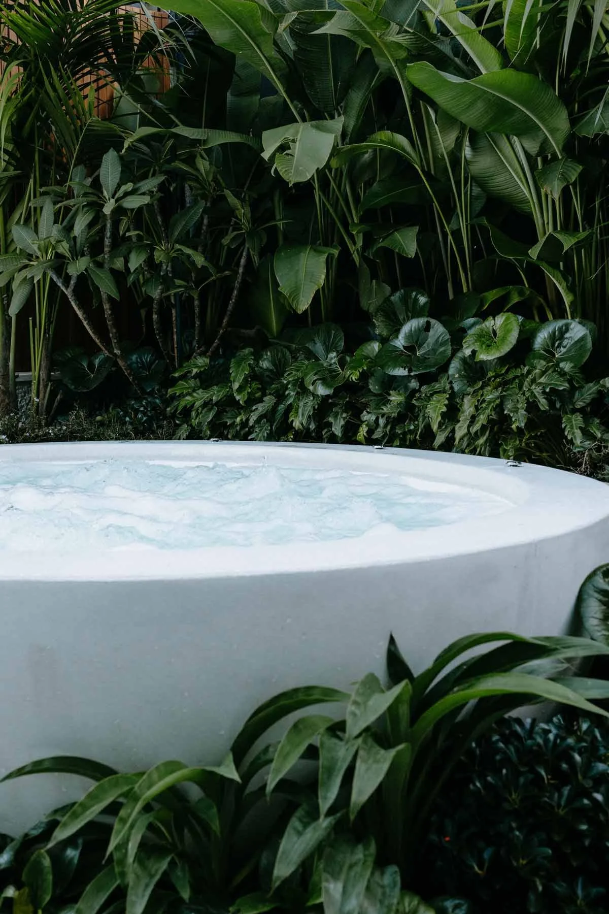 Exotic Living landscape — Mosman residential project